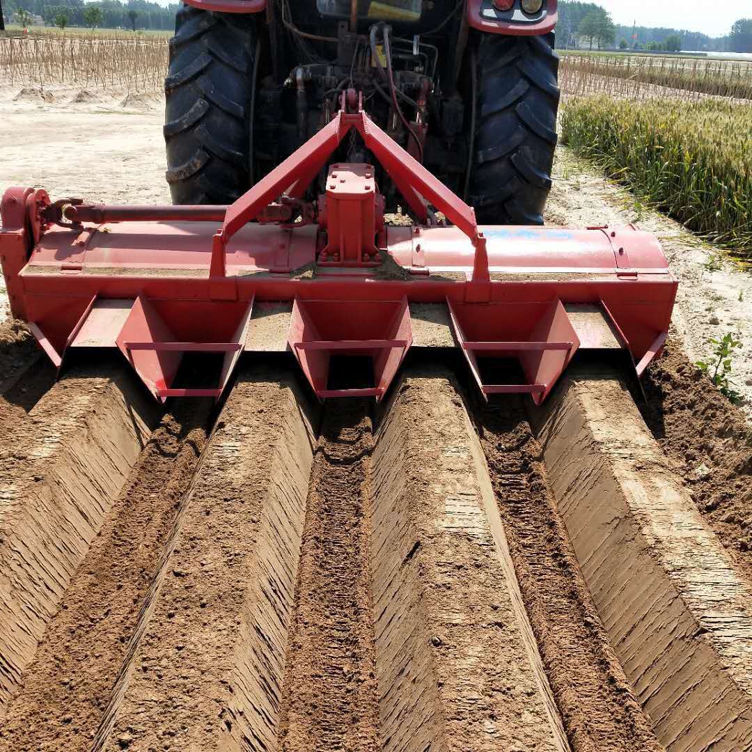 <a href=http://www.m.cuancan.cn/ target='_blank'>開溝機(jī)</a>